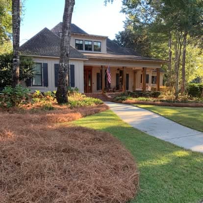 Fresh pine straw beds at a Fairhope home